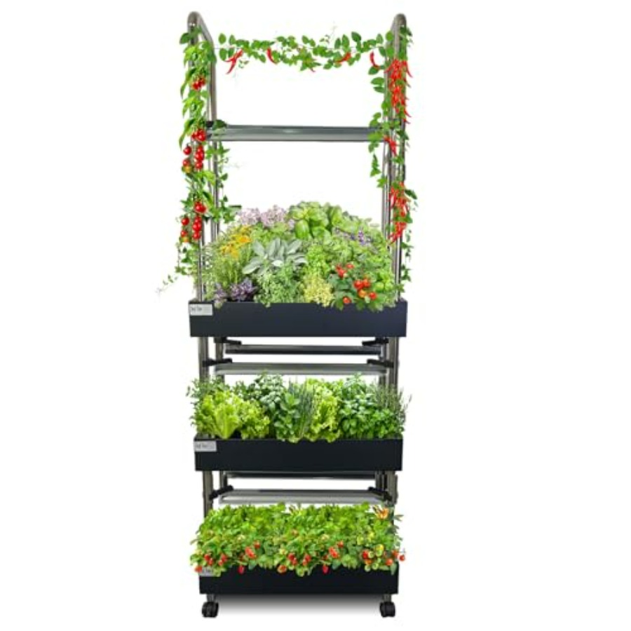 Smart Garden Water - Sistema de cultivo hidropônico interno: jardim