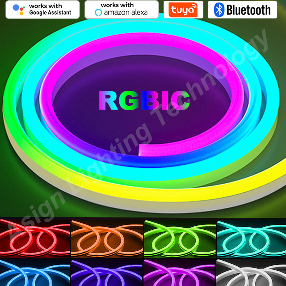 Smart Led Garden - Faixa de néon led rgbic 12v