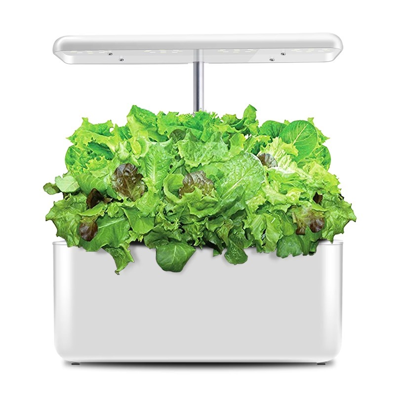 Sistema Hidropônico Inteligent - Smart Garden Design avaliação e preço