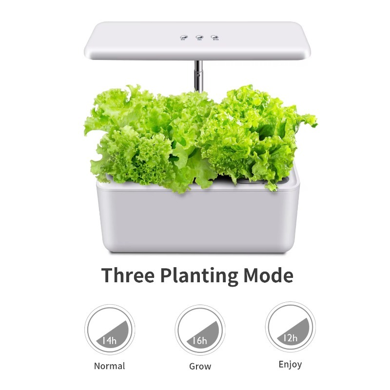Sistema Hidropônico Inteligent - Smart Garden Design avaliação e preço