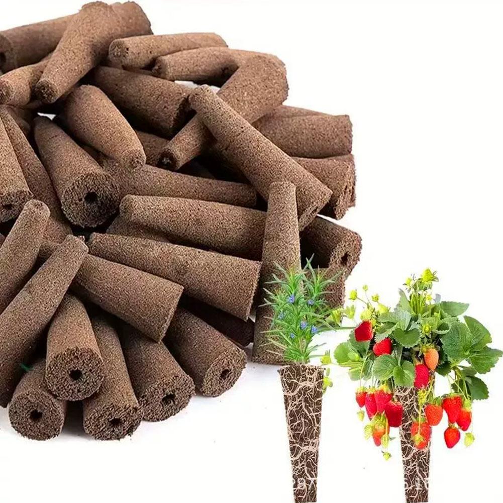 50 unidades de esponjas para c - Aerogarden Seed Pod avaliação e preço