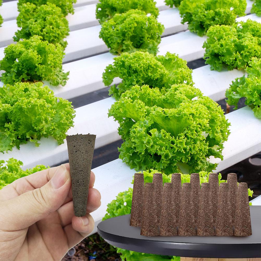 50 unidades de esponjas para c - Aerogarden Seed Pod avaliação e preço