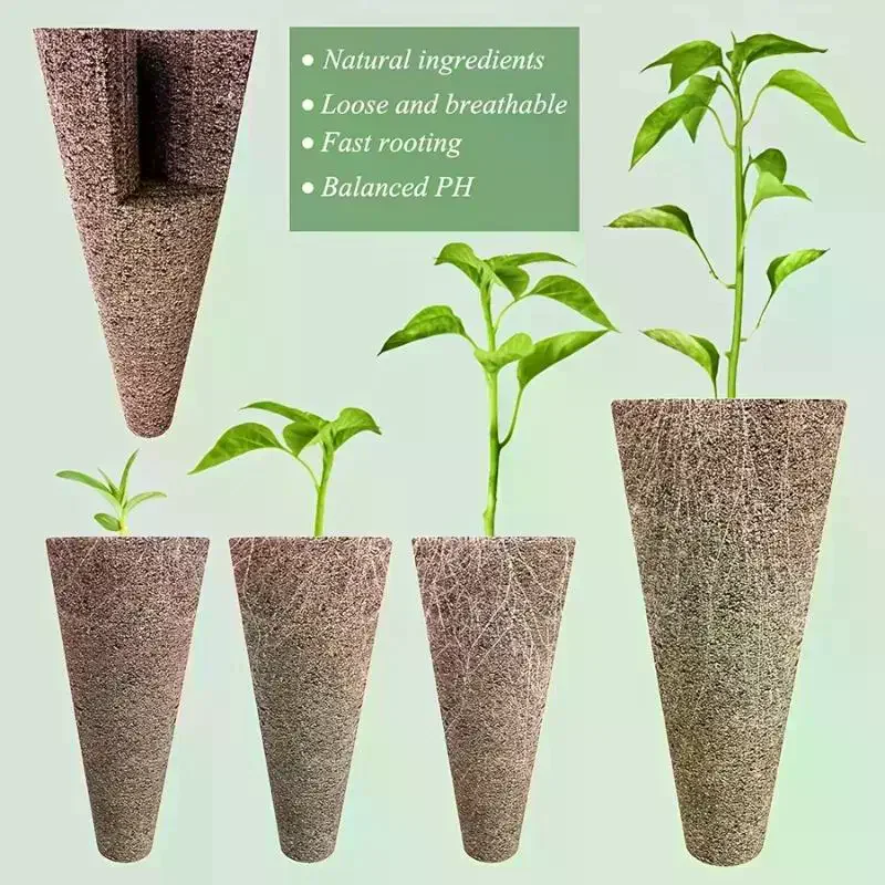 Suprimentos robustos para hidr - Aerogarden Seed Pod avaliação e preço