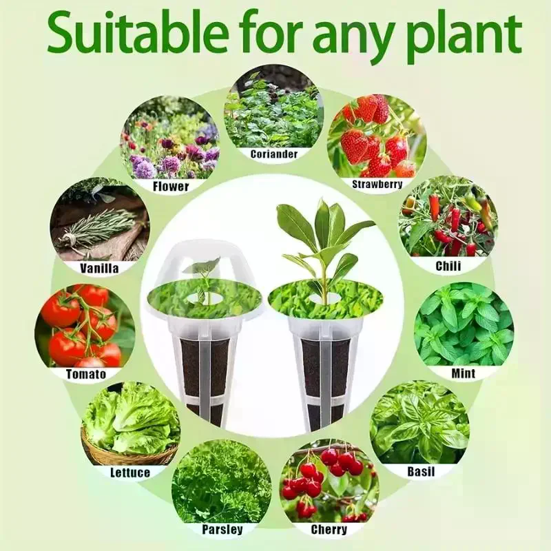 Suprimentos robustos para hidr - Aerogarden Seed Pod avaliação e preço