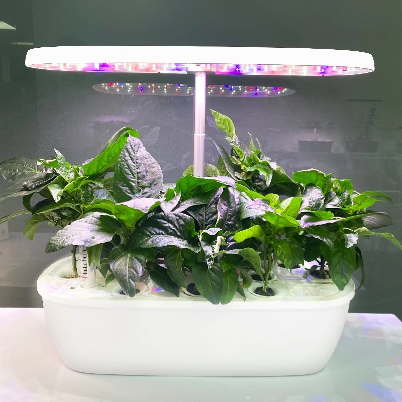 Sistema de Jardim Hidropônico  - Smart Garden Design avaliação e preço