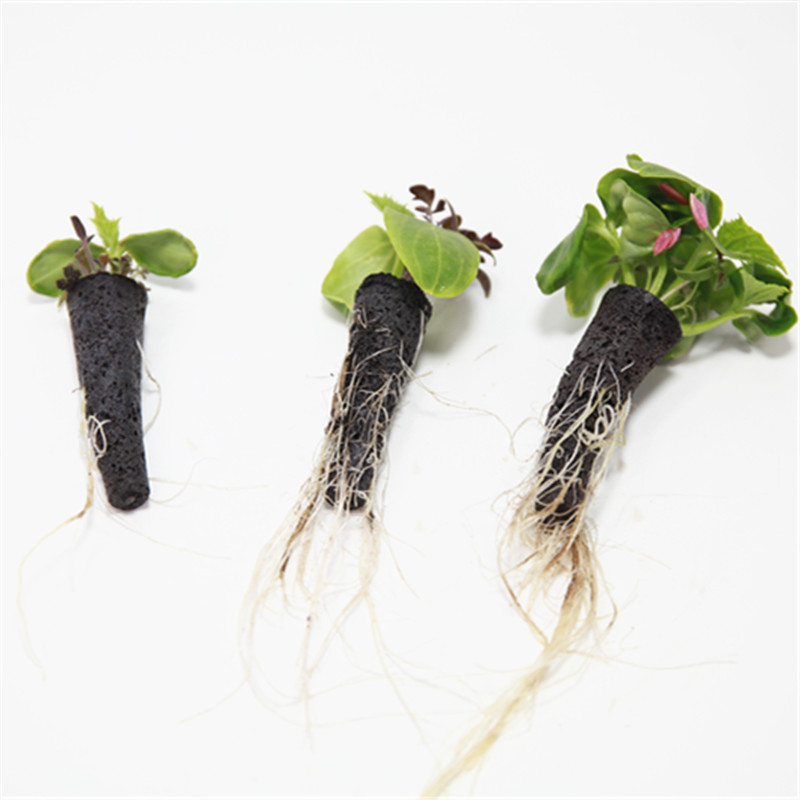 50/100 pçs planta crescer cest - Aerogarden Seed Pod avaliação e preço