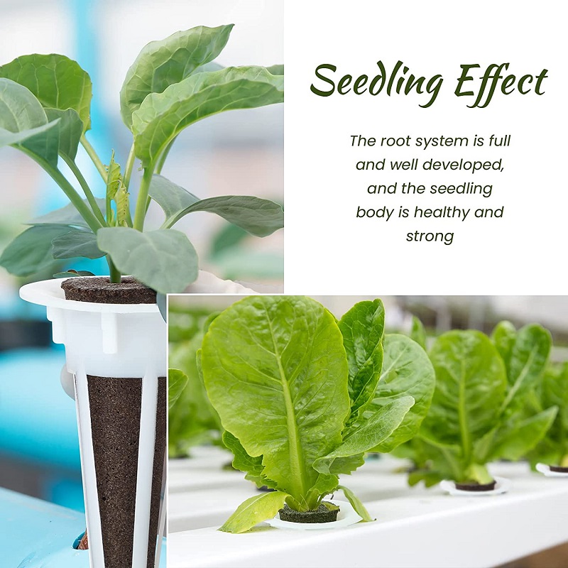 50/100 pçs planta crescer cest - Aerogarden Seed Pod avaliação e preço